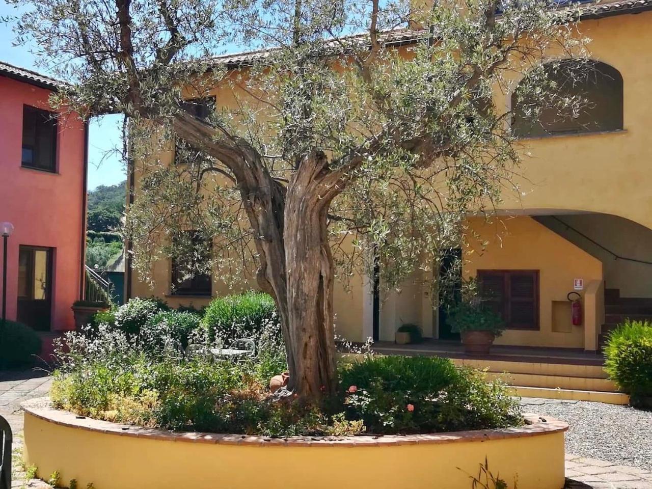 Borgo Venecca Aparthotel Fonteblanda Εξωτερικό φωτογραφία